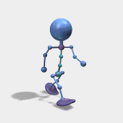 animation.gif